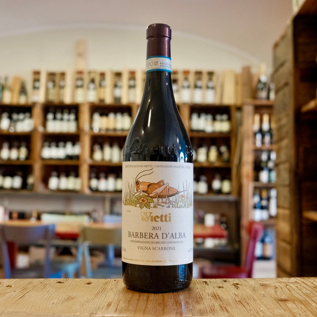Barbera d&