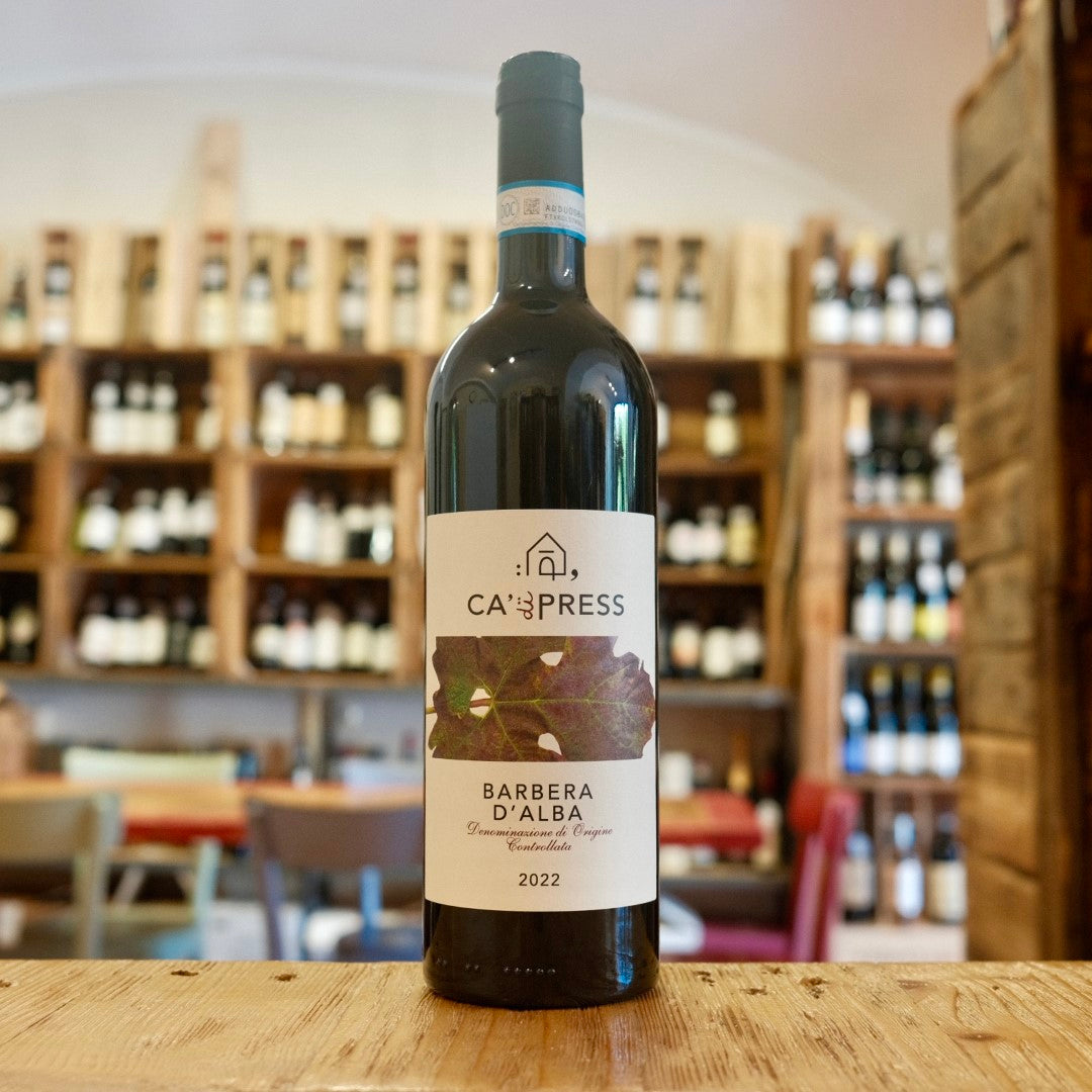Barbera d&