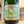 Carica l'immagine nel visualizzatore della galleria, Champagne Extra Brut Blanc De Noirs "Cuveé de Goulté" 2014