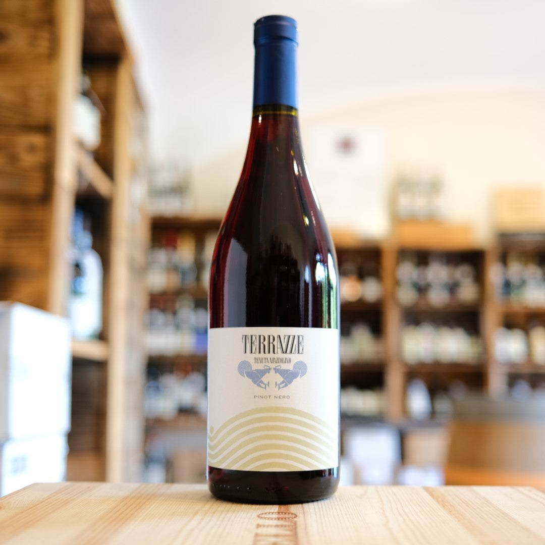 Pinot Noir "Terrazze" 2024