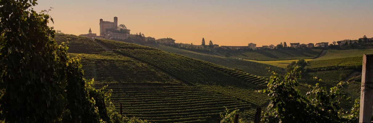 Vigneti Luigi Pira a Serralunga d’Alba con il castello, Barolo dalle Langhe piemontesi – Luigi Pira vineyards Serralunga d’Alba Barolo