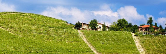Cavallotto Tenuta Bricco Boschis vigneti Castiglione Falletto Barolo Langhe