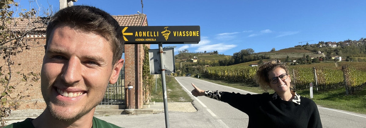 Agnelli Viassone