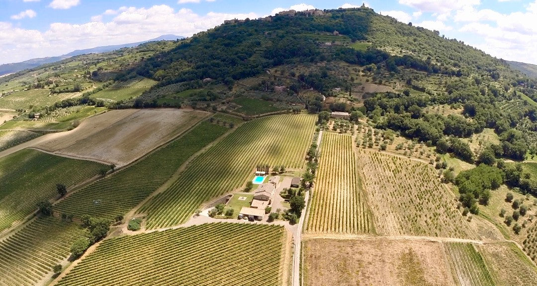 Tenuta Le Chiuse a Montalcino vista dall’alto, vigneti di Sangiovese Grosso tra bosco e olivi – Tuscan winery vineyards