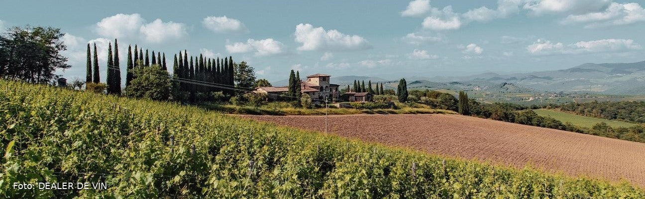 Tenuta di Carleone a Radda in Chianti, vigneti e paesaggio del Chianti Classico – Tuscan winery vineyards
