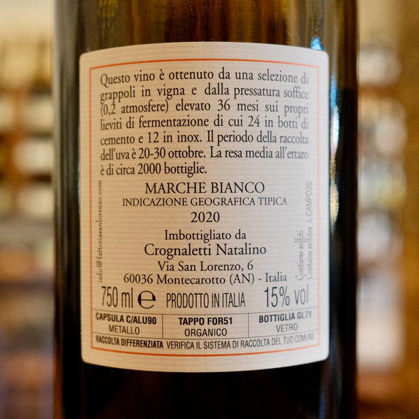 Marche IGT "Campo delle Oche" 2020