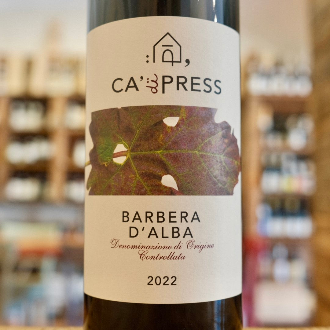 Barbera d&