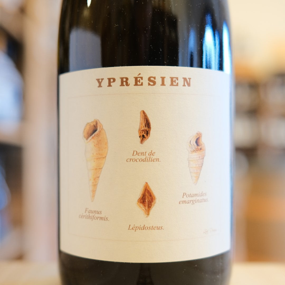 Champagne "Yprésien" Nature