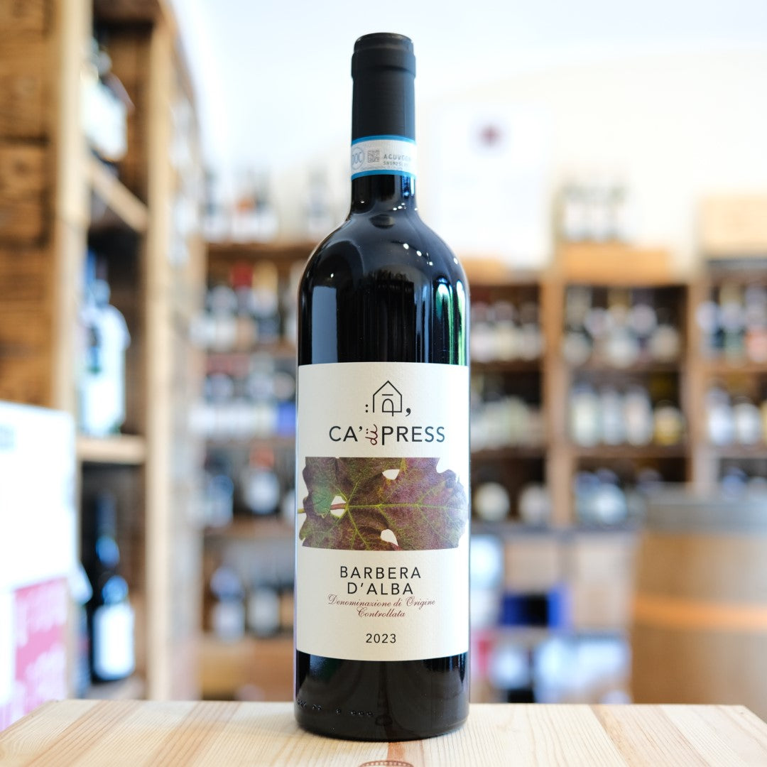 Barbera d&