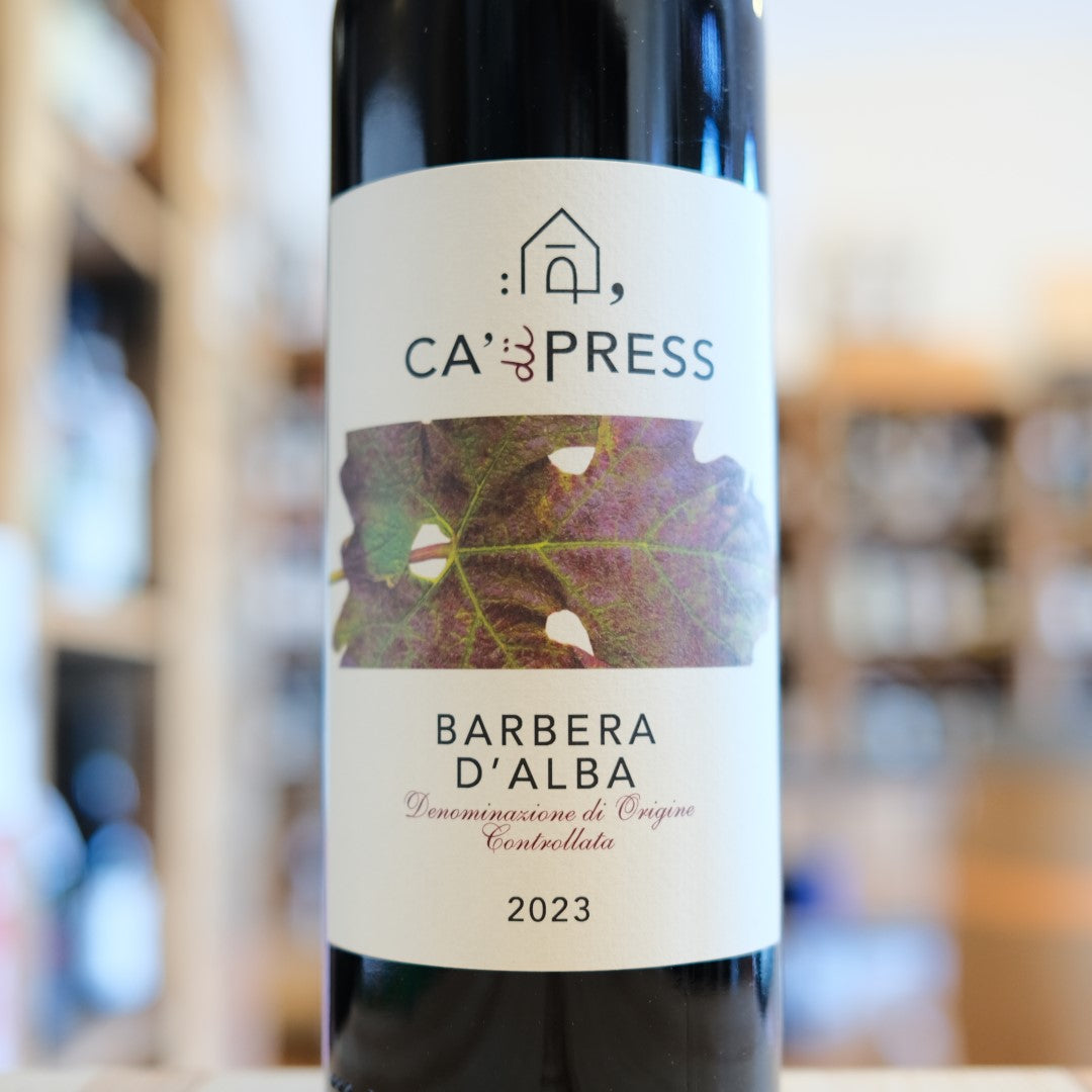 Barbera d&