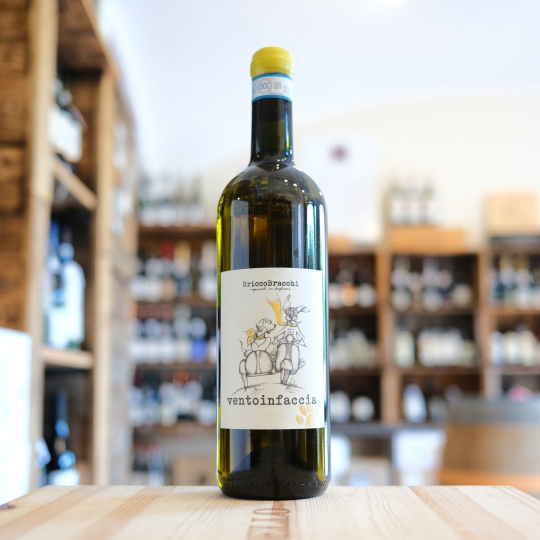 Langhe Bianco "Ventoinfaccia" 2023
