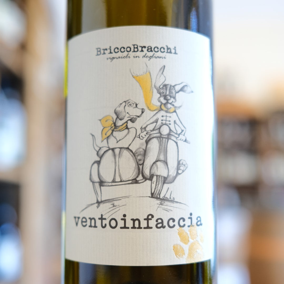 Langhe Bianco "Ventoinfaccia" 2023