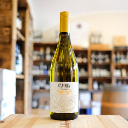 Pavia Province Chardonnay "Camarà" 2024