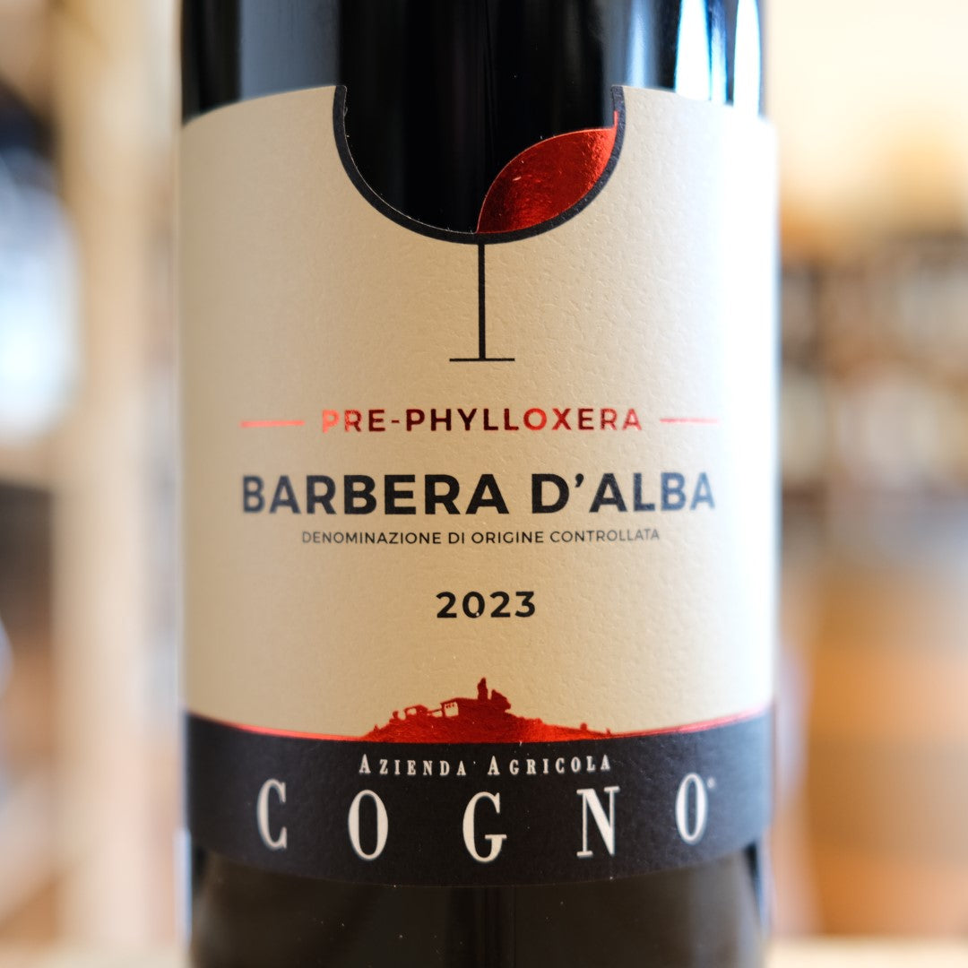 Barbera d&