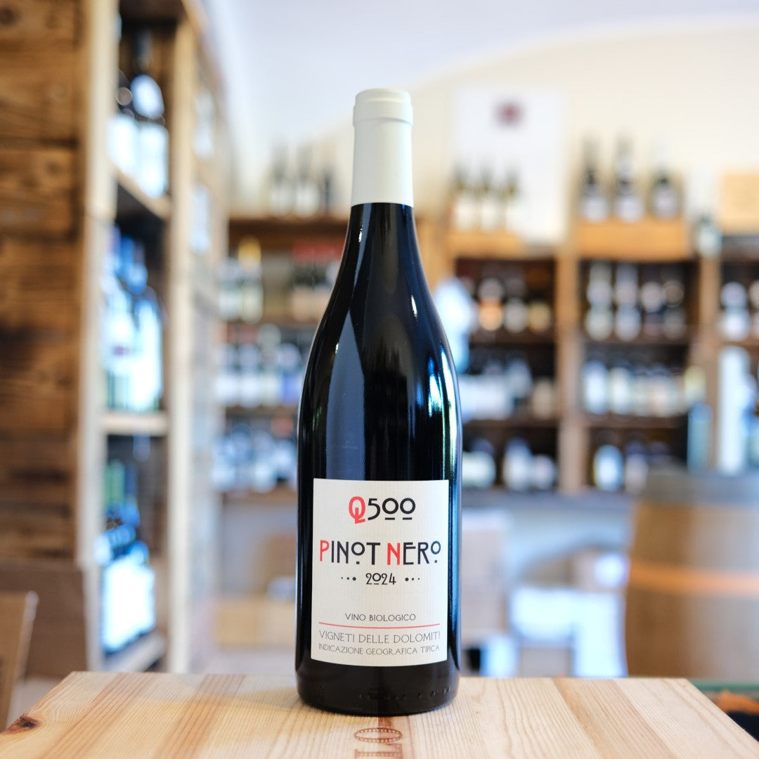 Bottiglia Pinot Nero Q500 2024 Baldessari Povo Trento Vigneti delle Dolomiti