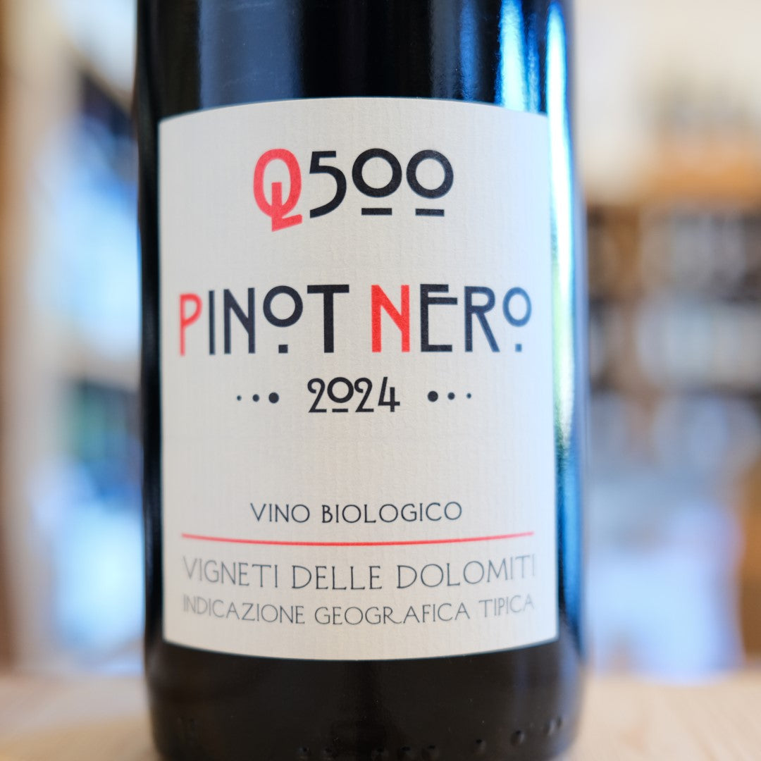 Etichetta Pinot Nero Q500 2024 Baldessari Trentino Italian wine label