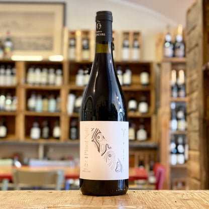 Tuscany Pinot Noir 2020 IGT