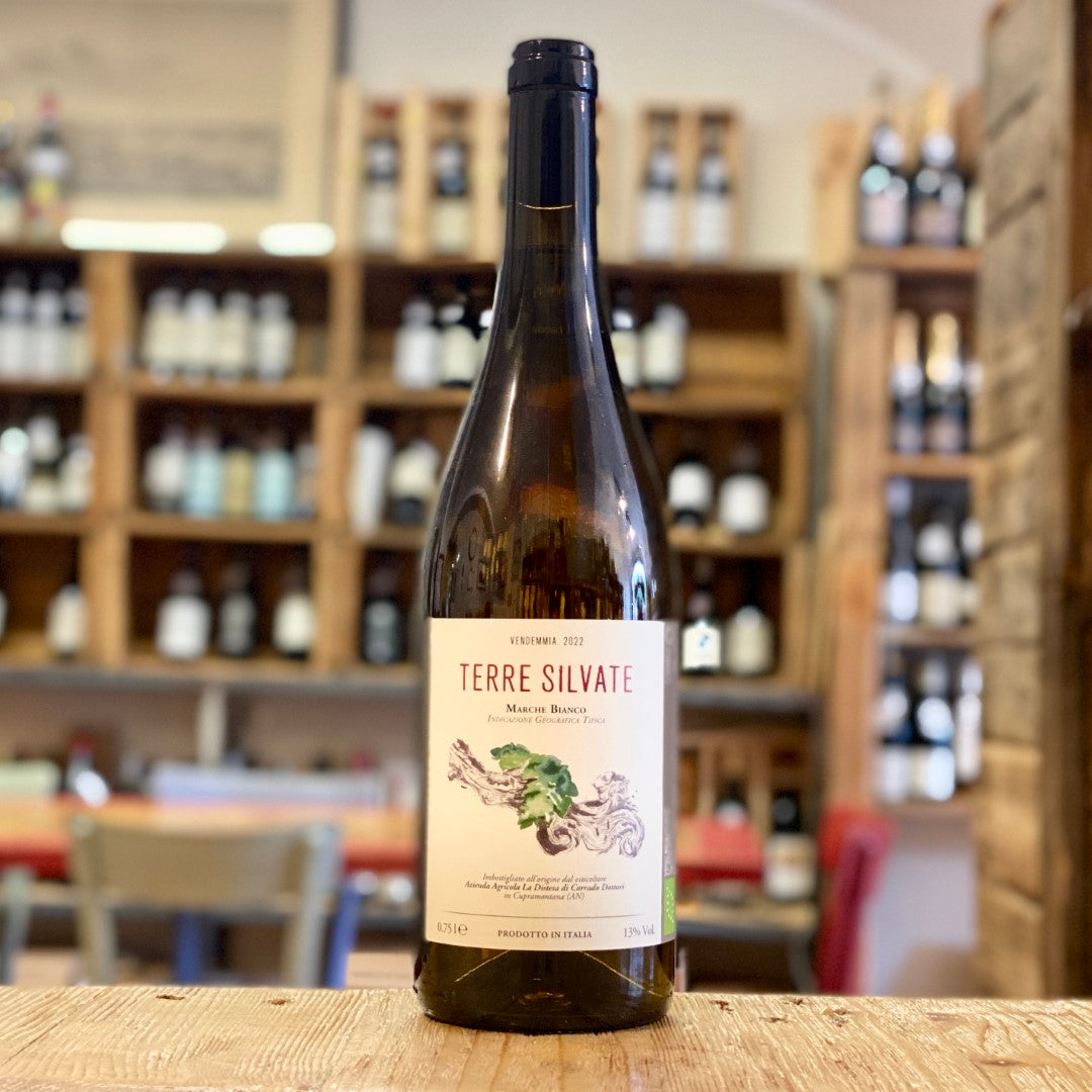 Marche White IGT "Terre Silvate" 2022