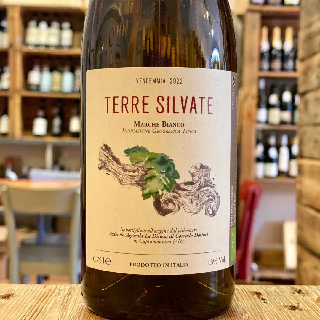 Marche White IGT "Terre Silvate" 2022