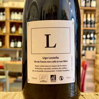 L 2019
