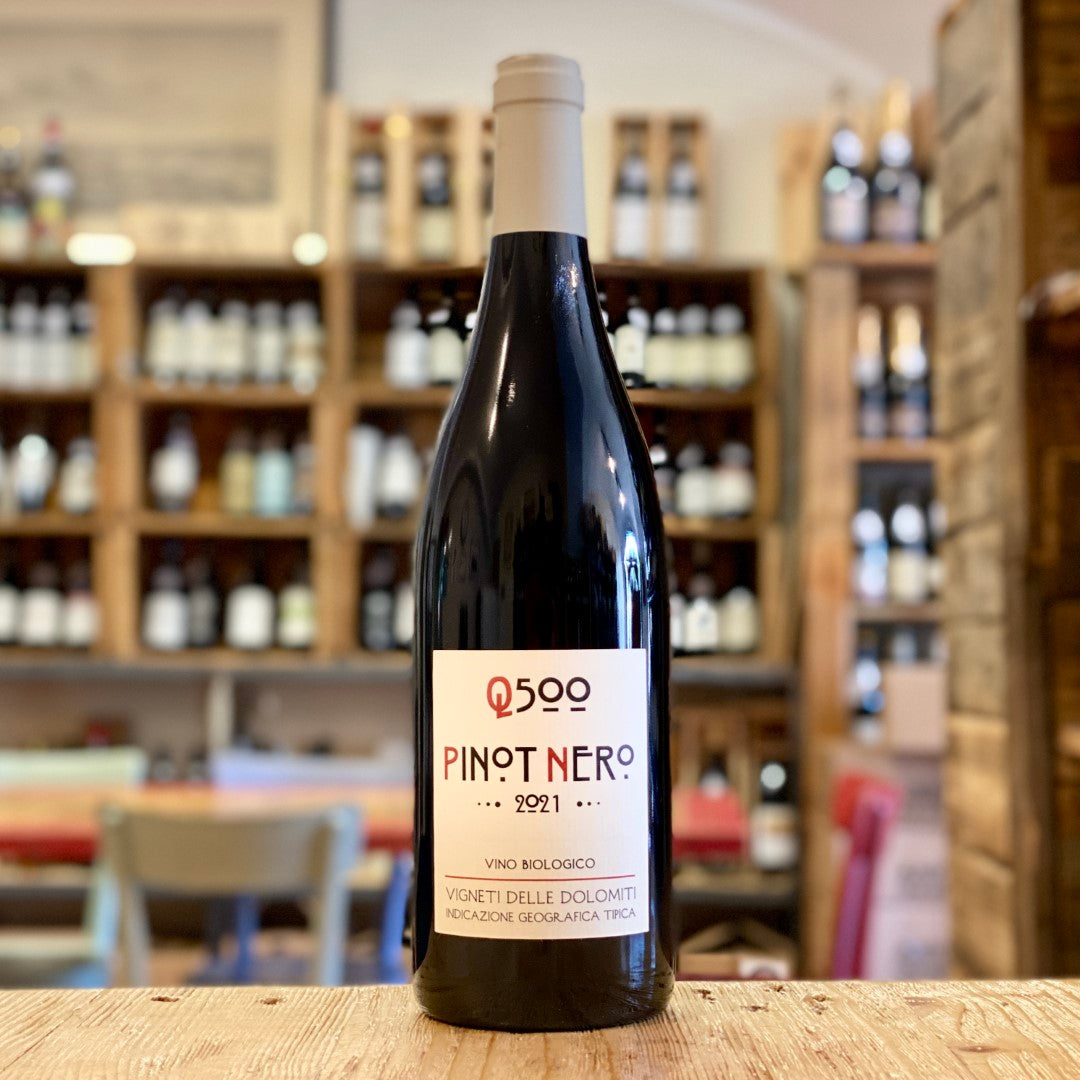 Pinot Noir "Q500" 2021