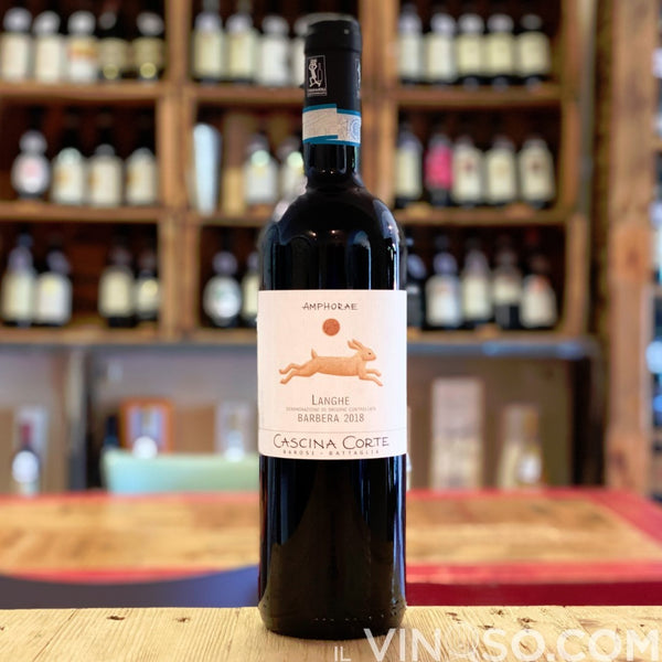 Langhe Barbera 2018 in Anfora