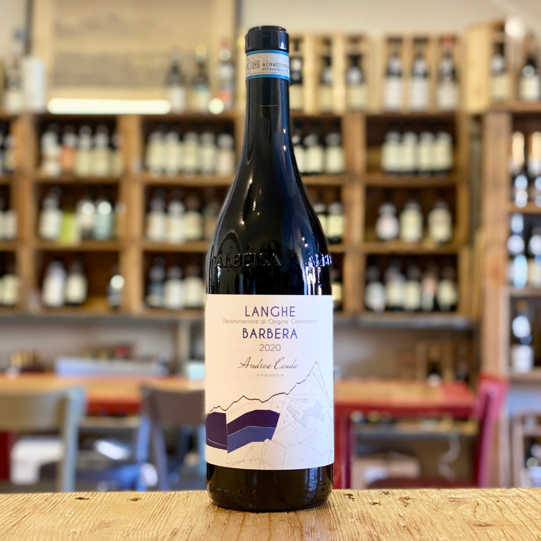 Langhe Barbera 2020