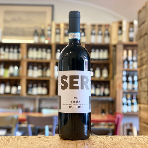 Langhe Barbera 2021