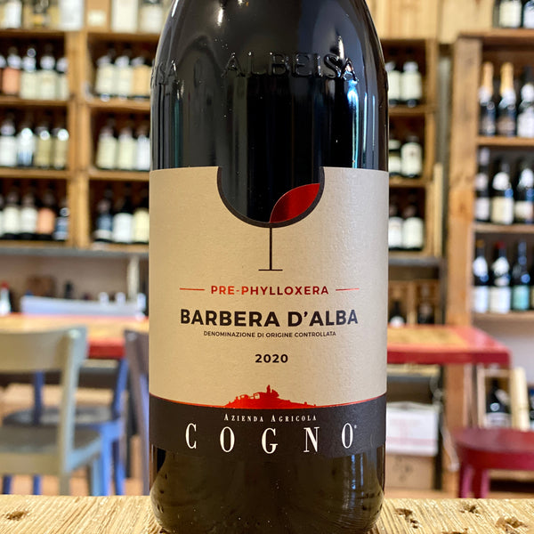 Barbera d'Alba "Pre-Phylloxera" 2022