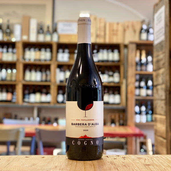 Barbera d'Alba "Pre-Phylloxera" 2022
